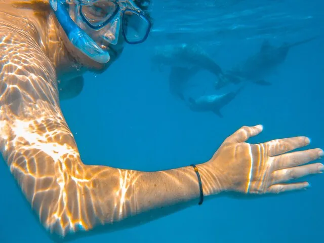 Snorkeler underwater reaching out toward dolphins swimming in the background
